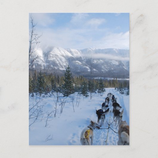 ParrotSleds — Landschap Briefkaart (Voorkant)