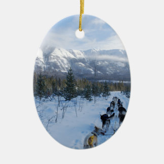 ParrotSleds — Landschap Keramisch Ornament