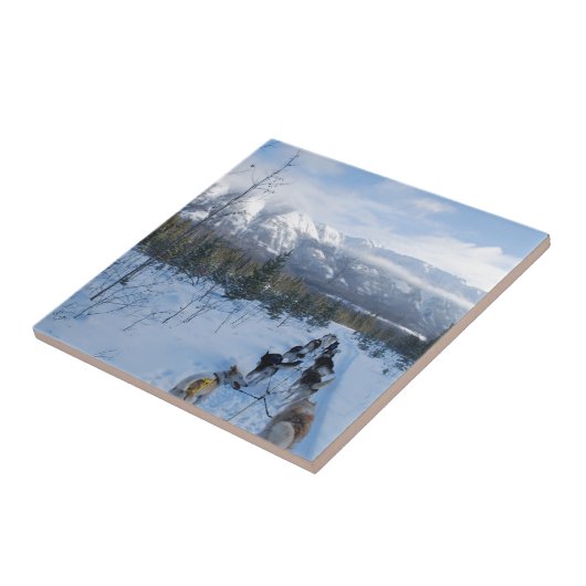 ParrotSleds — Landschap Tegeltje (Zijkant)