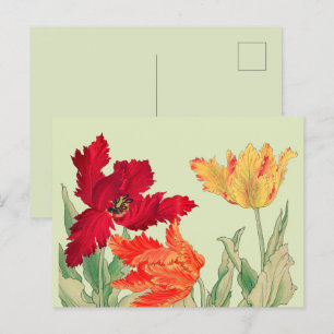 Parrottulp, Floral Briefkaart