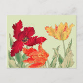 Parrottulp, Floral Briefkaart (Voorkant)