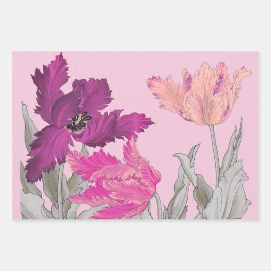 Parrottulp, Floral Inpakpapier Vel (Voorkant 2)