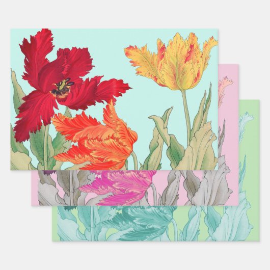 Parrottulp, Floral Inpakpapier Vel (Set)