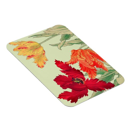 Parrottulp, Floral Magneet (Rechterzijde)