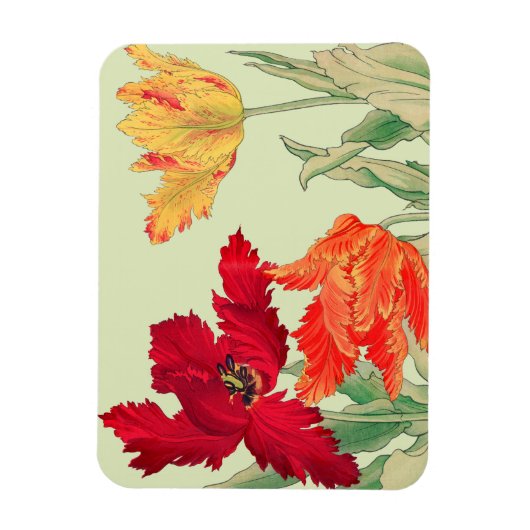 Parrottulp, Floral Magneet (Verticaal)