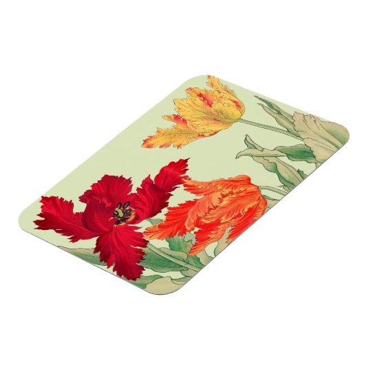 Parrottulp, Floral Magneet (Linkerzijde)