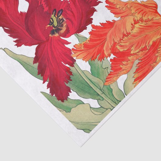 Parrottulp, ontkoppeling van Floral Tissuepapier (Detail)