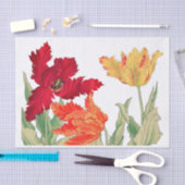 Parrottulp, ontkoppeling van Floral Tissuepapier (Craft)