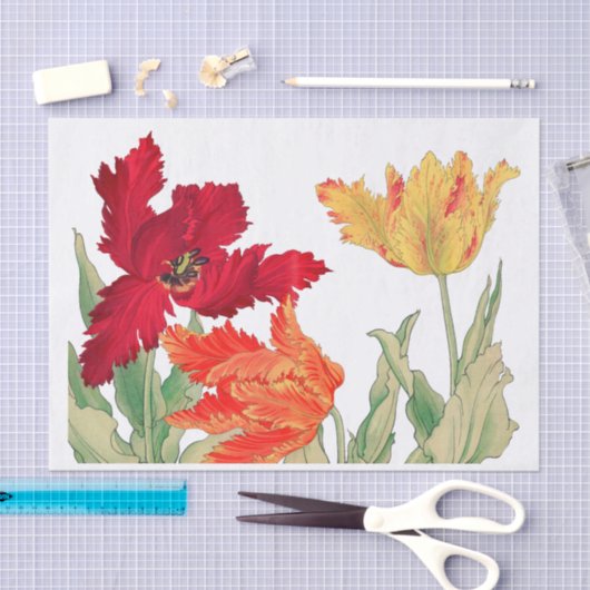 Parrottulp, ontkoppeling van Floral Tissuepapier (Craft)