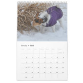 Parson Jack Russell Terrier Dog Calendar van Janz Kalender (Jan 2022)