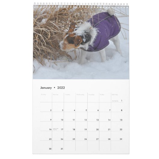 Parson Jack Russell Terrier Dog Calendar van Janz Kalender (Jan 2022)