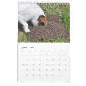 Parson Jack Russell Terrier Dog Calendar van Janz Kalender (Mar 2022)