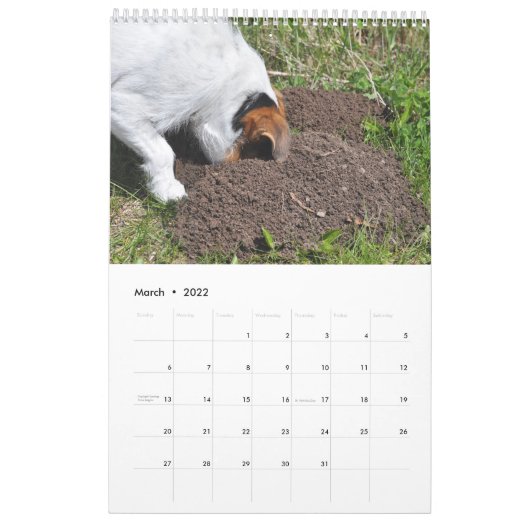 Parson Jack Russell Terrier Dog Calendar van Janz Kalender (Mar 2022)