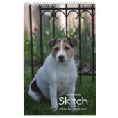 Parson Jack Russell Terrier Dog Calendar van Janz Kalender (Hoes)