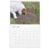 Parson Jack Russell Terrier Dog Calendar van Janz Kalender (Mar 2026)
