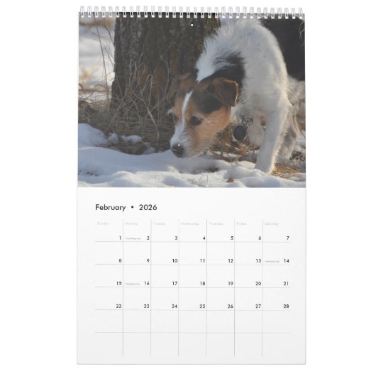 Parson Jack Russell Terrier Dog Calendar van Janz Kalender (Feb 2026)