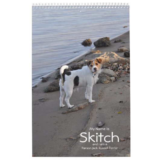 Parson Jack Russell Terrier Dog Calendar van Janz Kalender (Hoes)
