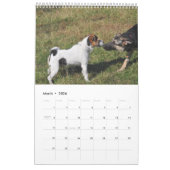 Parson Jack Russell Terrier Dog Calendar van Janz Kalender (Mar 2026)