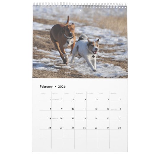 Parson Jack Russell Terrier Dog Calendar van Janz Kalender (Feb 2026)