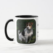Parson Jack Russell Terrier Mok (Links)