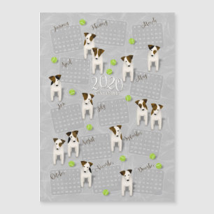 Parson Jack Russell Terriers grijs kalender 2020