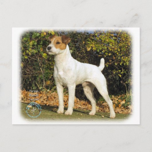 Parson Russell Terrier 9T016D-223 Briefkaart (Voorkant)