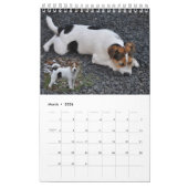 Parson Russell Terrier Dog Wall Calendar van Janz Kalender (Mar 2026)