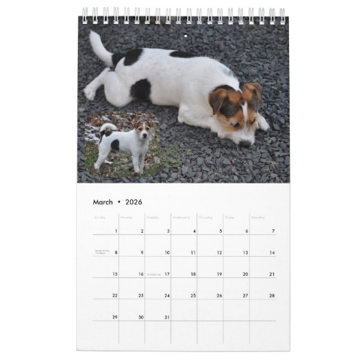 Parson Russell Terrier Dog Wall Calendar van Janz Kalender (Mar 2026)