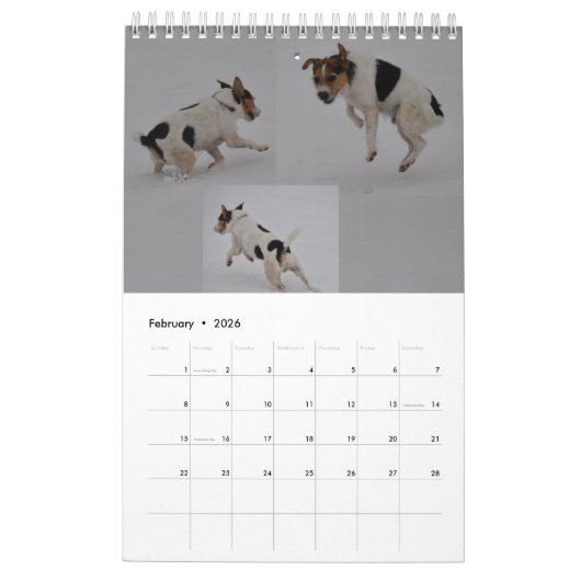 Parson Russell Terrier Dog Wall Calendar van Janz Kalender (Feb 2026)