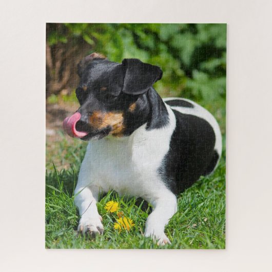 Parson Russell Terrier. Legpuzzel (Verticaal)
