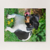 Parson Russell Terrier. Legpuzzel (Horizontaal)