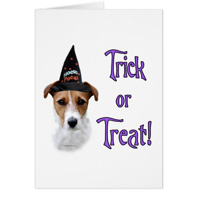 Parson Russell Terrier Trick (Voorkant)