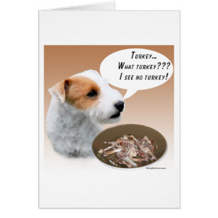 Parson Russell Terrier Turkije