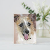 Parson Russell Terrier/Yorkie Mix Briefkaarten (Staand voorkant)