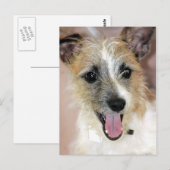 Parson Russell Terrier/Yorkie Mix Briefkaarten (Voorkant / Achterkant)