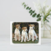 Parson Russell Terriers 9T016D-332 Briefkaart (Staand voorkant)
