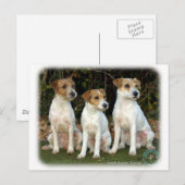 Parson Russell Terriers 9T016D-332 Briefkaart (Voorkant / Achterkant)