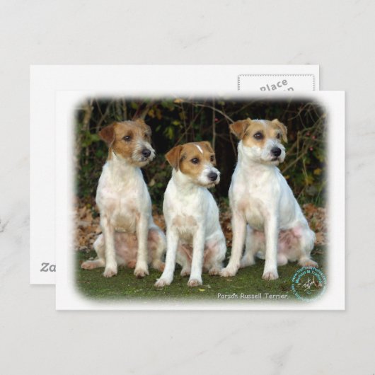 Parson Russell Terriers 9T016D-332 Briefkaart (Voorkant / Achterkant)