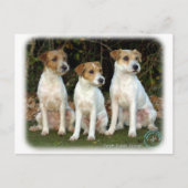 Parson Russell Terriers 9T016D-332 Briefkaart (Voorkant)