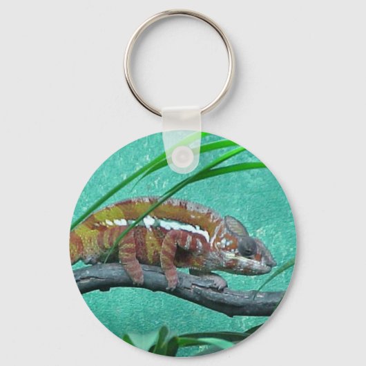 Parson's Kameleon Sleutelhanger (Voorkant)
