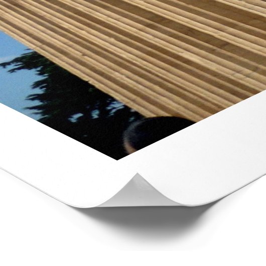 parthenon - kolommen poster (Hoek)