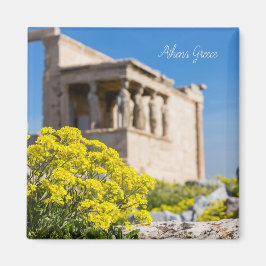 Parthenon-tempel met veerbloemen magneet