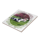 Parti-Color Pekingese Honden Tegeltje (Zijkant)