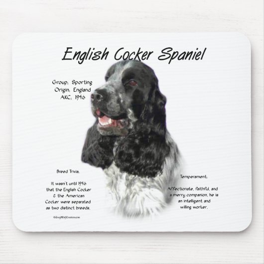Parti Engelse Cocker Spaniel Geschiedenis Muismat (Voorkant)
