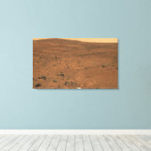 Partial Seminole panorama van Mars Canvas Afdruk (Insitu (Houten vloer))