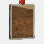 Partial Seminole panorama van Mars Metalen Ornament (Rechts)