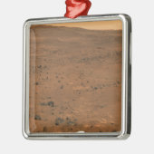 Partial Seminole panorama van Mars Metalen Ornament (Links)