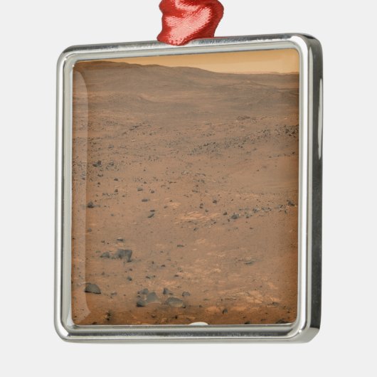 Partial Seminole panorama van Mars Metalen Ornament (Links)