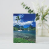 Particuliere jachten verankerd in Opunohu Bay op d Briefkaart (Staand voorkant)