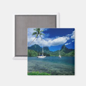 Particuliere jachten verankerd in Opunohu Bay op d Magneet (Voorkant / Achterkant)